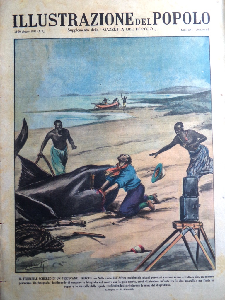 Illustrazione del Popolo 20 Giugno 1936 Schuschnigg Bartali Auto Guerra …