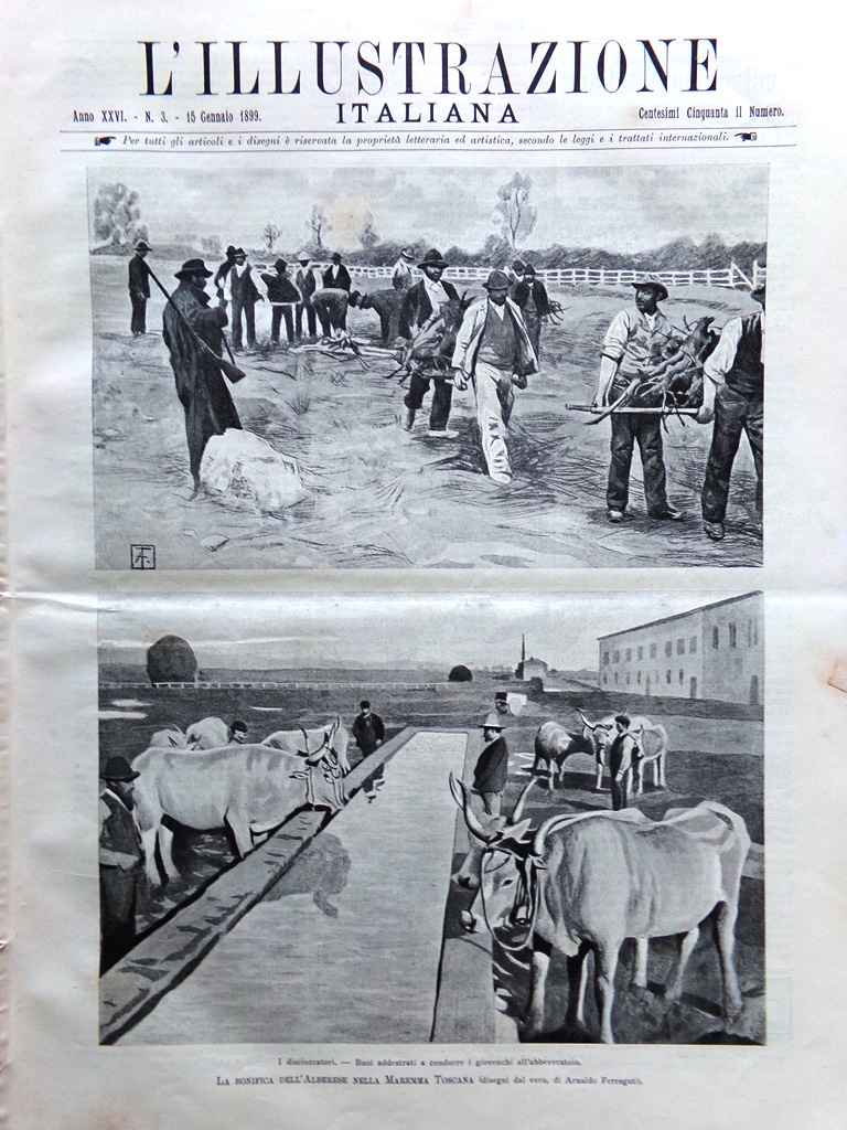 L'Illustrazione Italiana 15 Gennaio 1899 Bonifica Alberese Guida Serra Giorgio