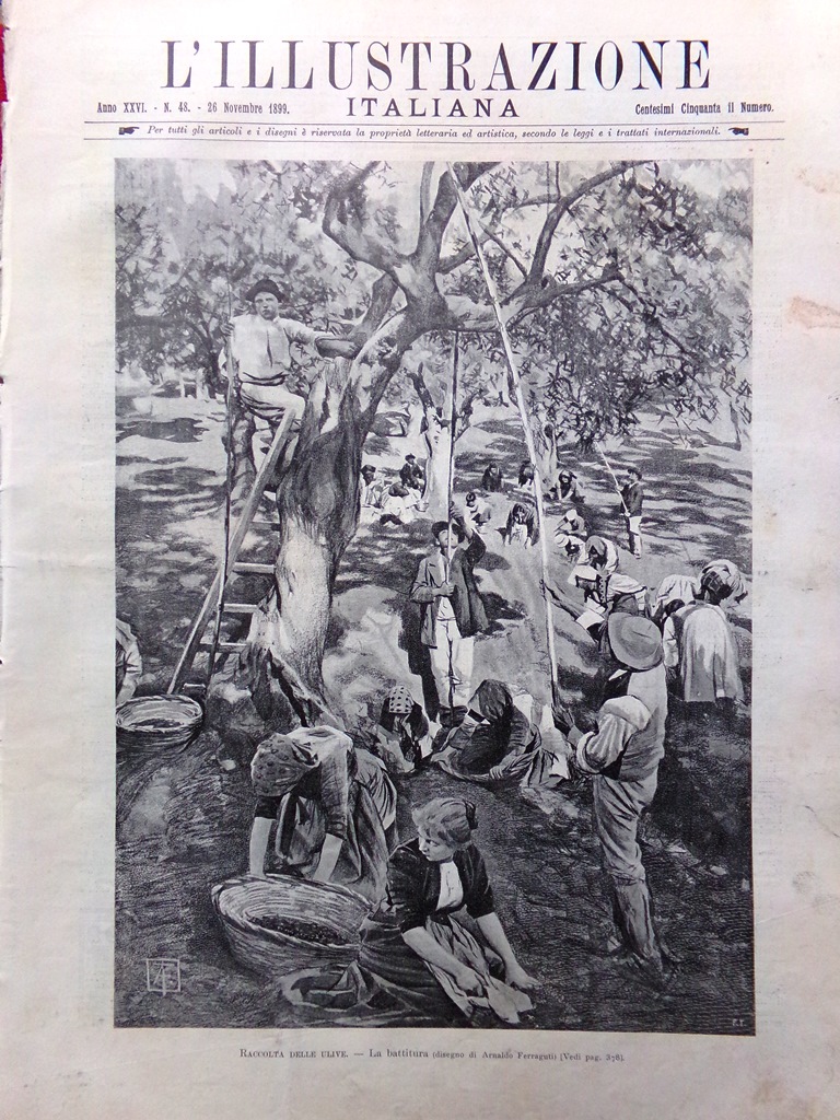 L'Illustrazione Italiana 26 Novembre 1899 Parigi Trionfo Repubblica Notarbartolo