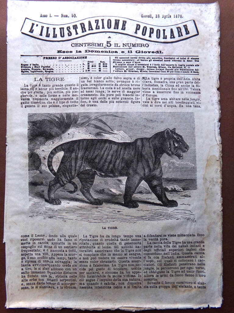 L'illustrazione Popolare 28 Aprile 1870 Tigre Malaga Processo di Tours …