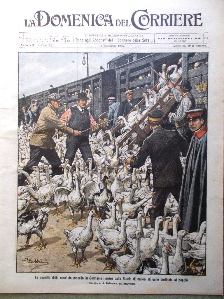 La Domenica del Corriere 10 Dicembre 1905 Novara Hauterive Carestia …