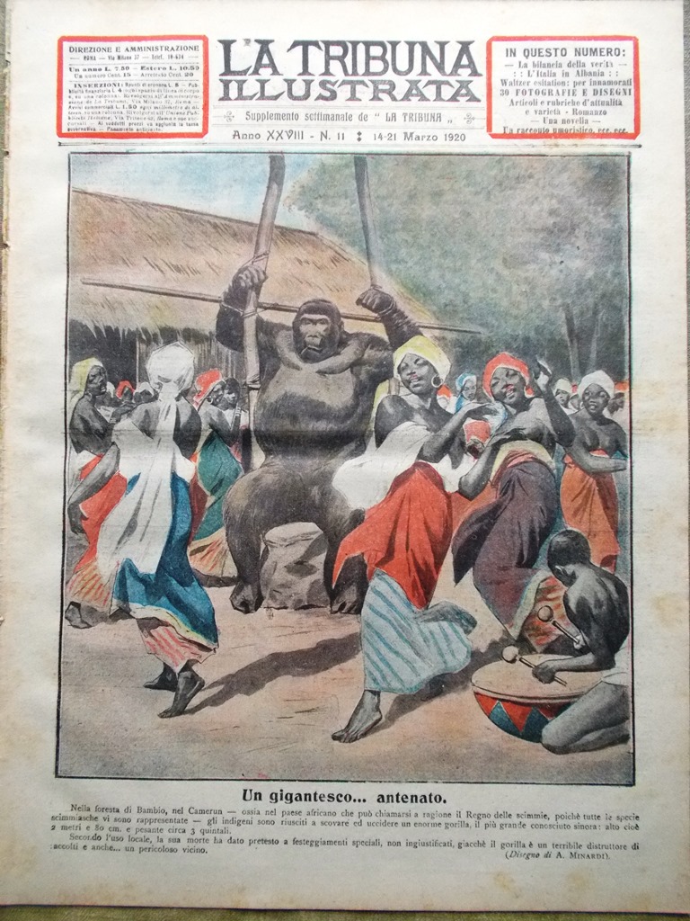 La Tribuna Illustrata 14 Marzo 1920 Gorilla Camerun Albania Valzer …