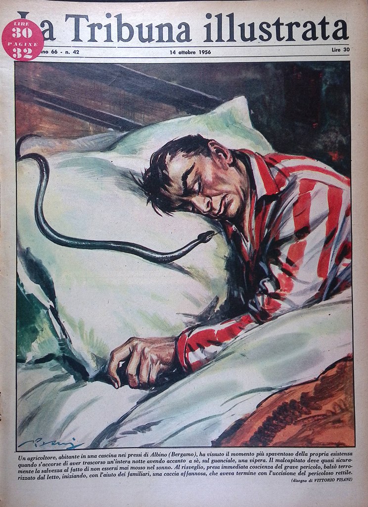 La Tribuna Illustrata 14 Ottobre 1956 Fatima Bridge Carver Teatro …