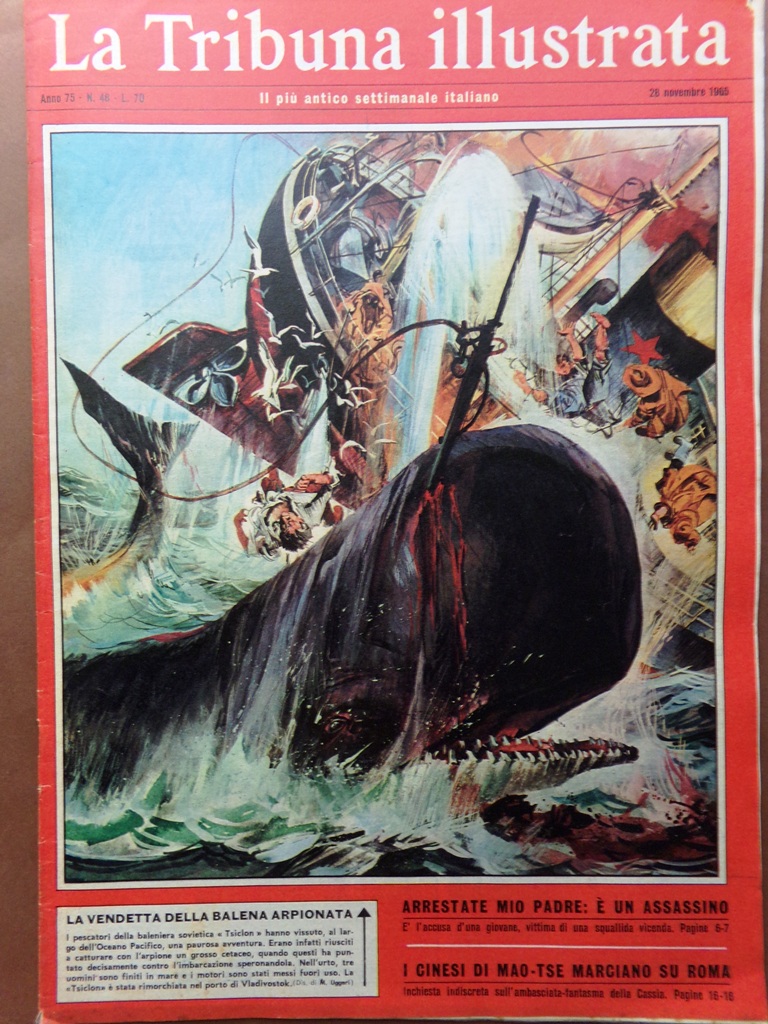 La Tribuna Illustrata 28 Novembre 1965 Giallo di Gallatro Cinesi …