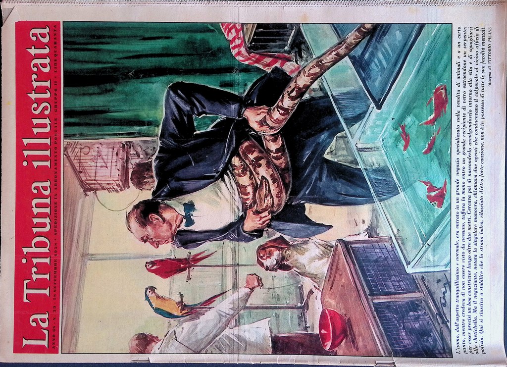 La Tribuna Illustrata 28 Settembre 1958 centenario Giacomo Puccini Zsa …