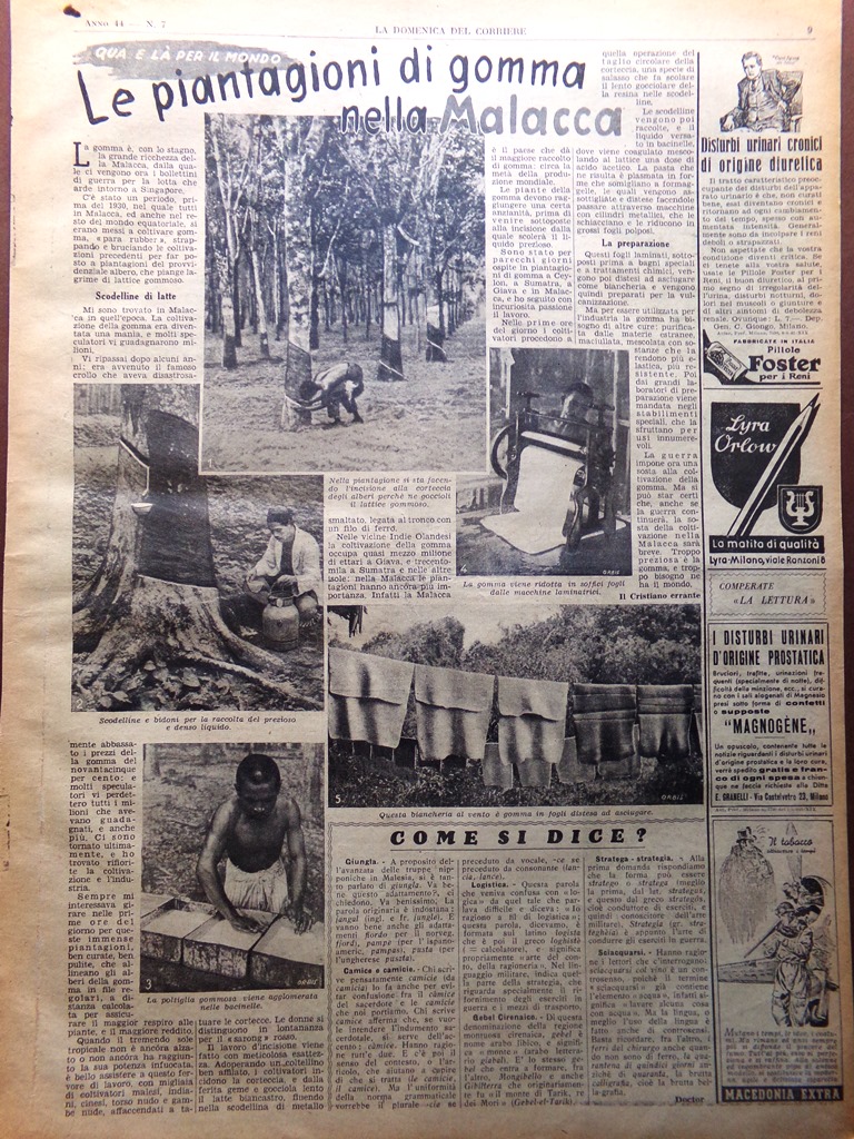 Pagina Anni 40 WW2 Piantagioni di Gomma nella Malacca
