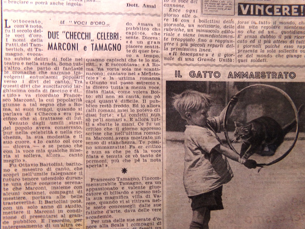 Pagina Anni 40 WW2 Tascapane Francesco Marconi Tamagno Gatto Ammaestrato