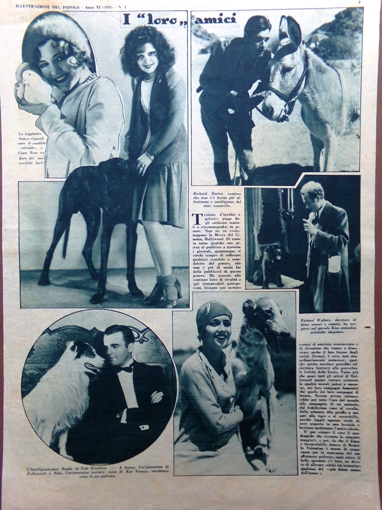 Pagina del 1931 Amici Animali Neil Hamilton Francis Wallace Harlen …