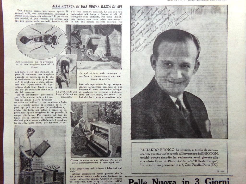 Pagina del 1931 Nuova razza Api Bianco Arbusto Minigolf Saldature …
