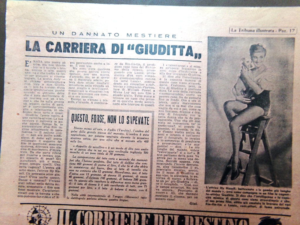 Pagina del 1953 Hy Hazell Cagnetta Giuditta Miliardaria Triste Barbara …