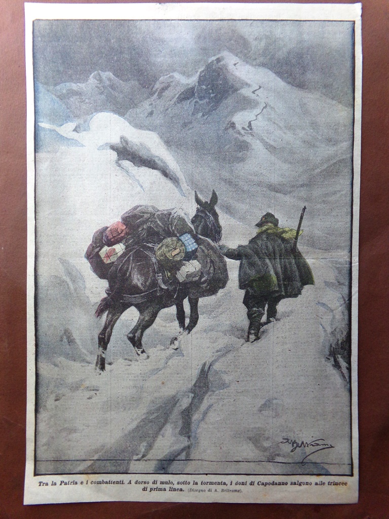 Retrocopertina Domenica Corriere nr. 53 del 1915 WW1 Dorso Mulo …