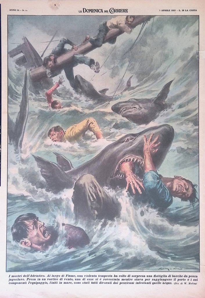 Retrocopertina Domenica del Corriere nr. 14 del 1953 Pescicani Adriatico …