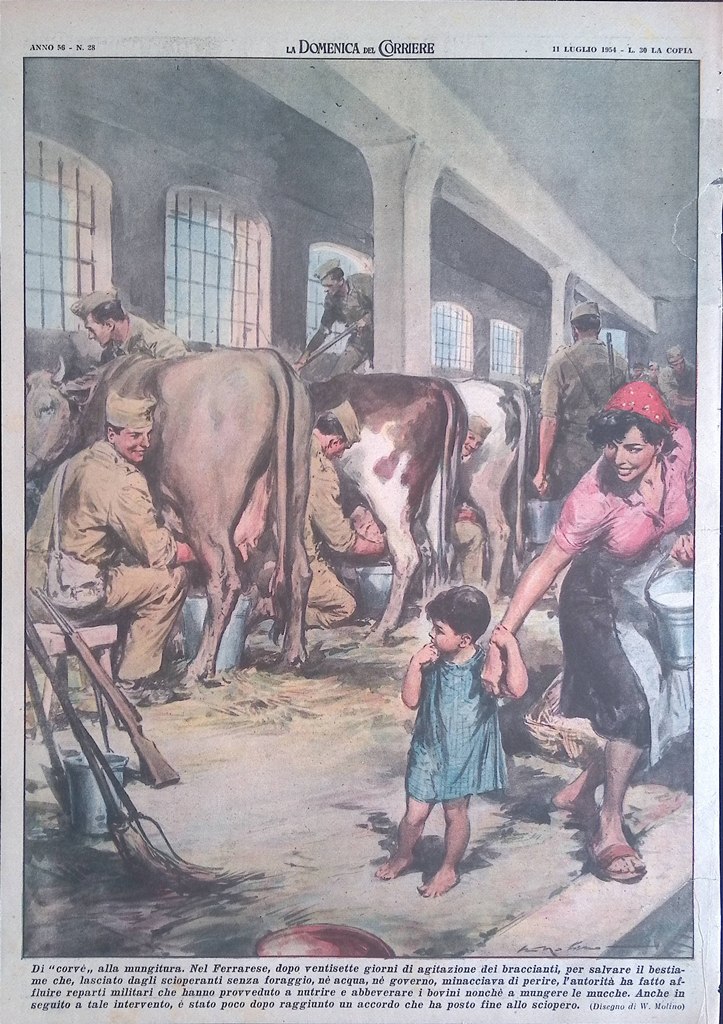 Retrocopertina Domenica del Corriere nr. 28 del 1954 Militari Mungitura …