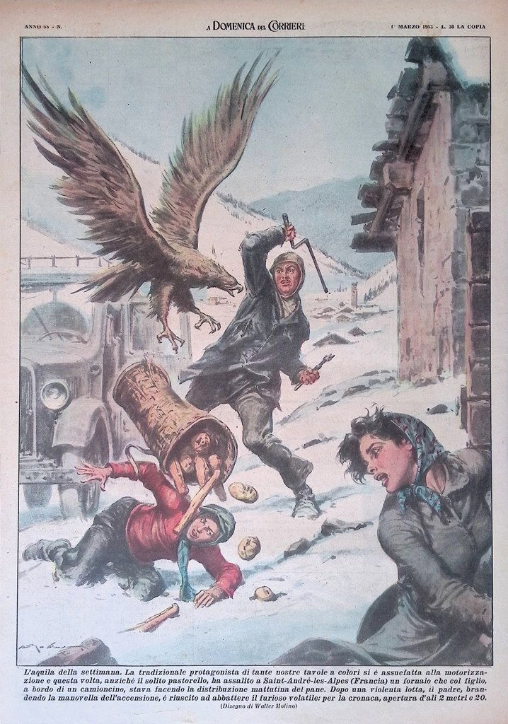 Retrocopertina Domenica del Corriere nr. 9 del 1953 Aquila assale …