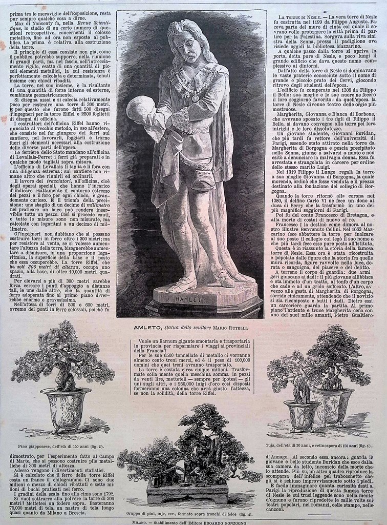 Stampa del 1889 Amleto Mario Rutelli Orticoltura Giapponese Piante Esposizione