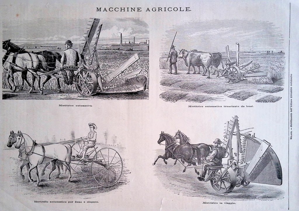 Stampa del 1889 Macchine Agricole Mietitrice Falciatrice Esposizione di Parigi