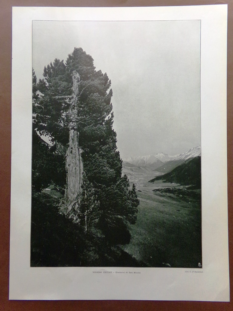 Stampa del 1925 Dintorni Saint Moritz Laghi Prati Montagne Sole