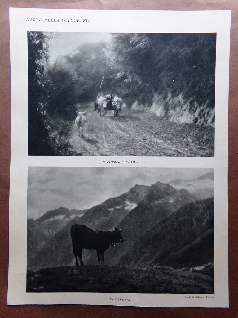 Stampa del 1927 Arte nella Fotografia Ritorno Campi Vedetta Sentiero …