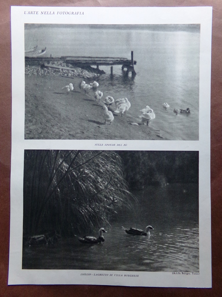 Stampa del 1927 Arte nella Fotografia Sponde del Po Laghetto …