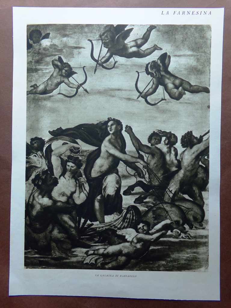 Stampa del 1927 Farnesina Galatea di Raffaello Scolari Psiche Venere …
