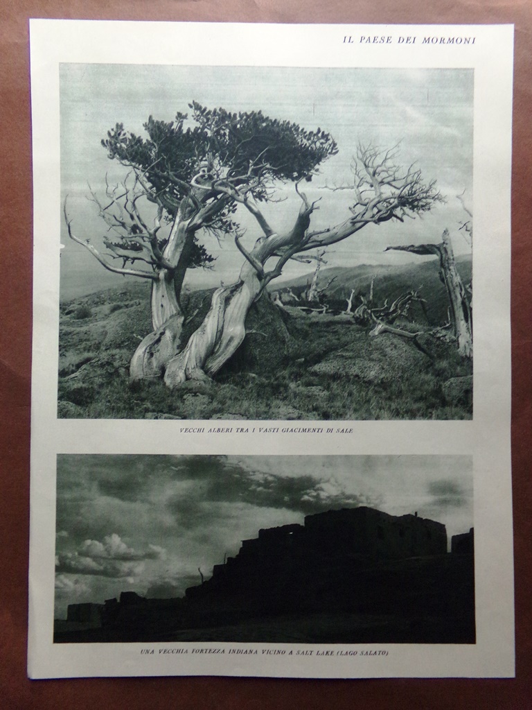 Stampa del 1927 Paese Mormoni Utah Salt Lake Wasatch City …