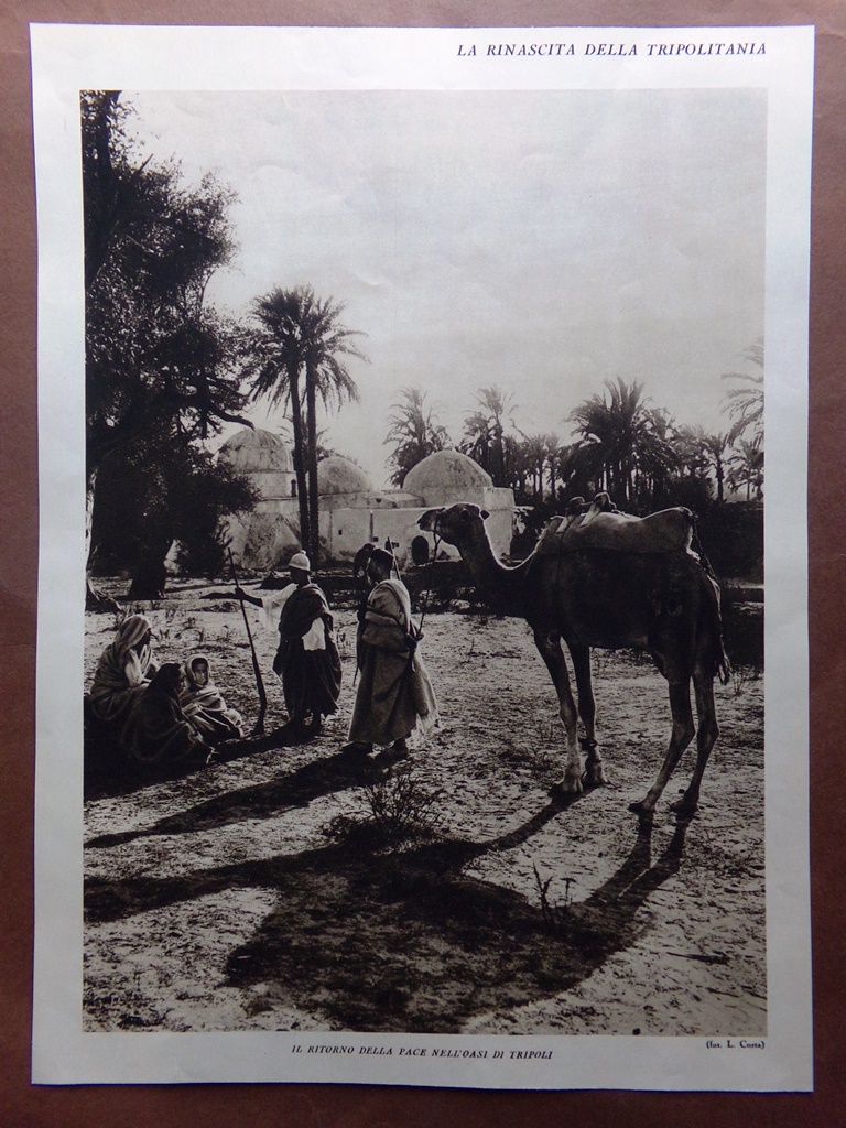 Stampa del 1927 Rinascita Tripolitania Oasi Tripoli Ulivi Mercato Stuoie …