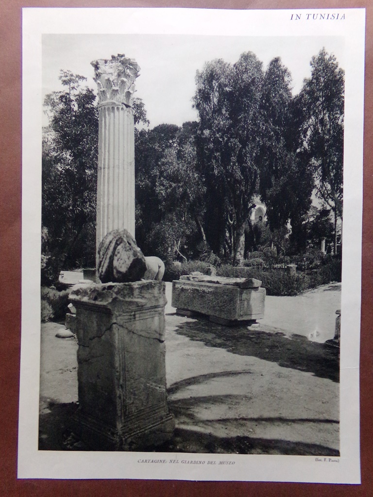 Stampa del 1927 Tunisia Giardino Cartagine Acquedotto Romano Korbus-Ain Shia