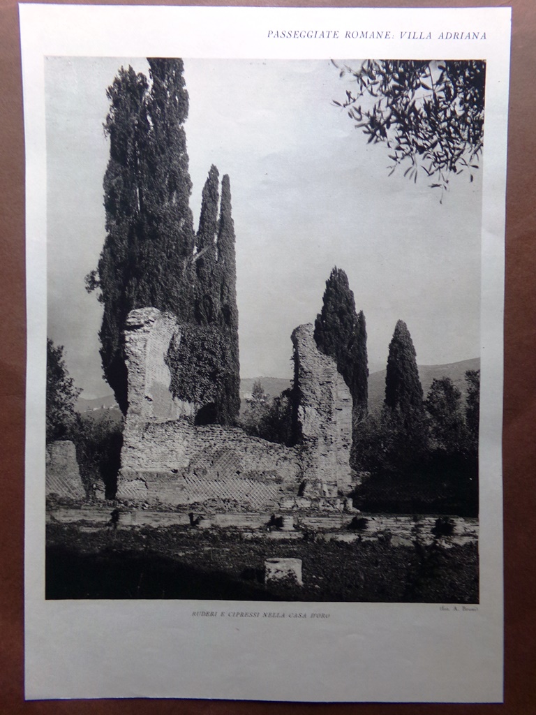 Stampa del 1927 Villa Adriana Roma Ruderi Cipressi Teatro Marittimo …