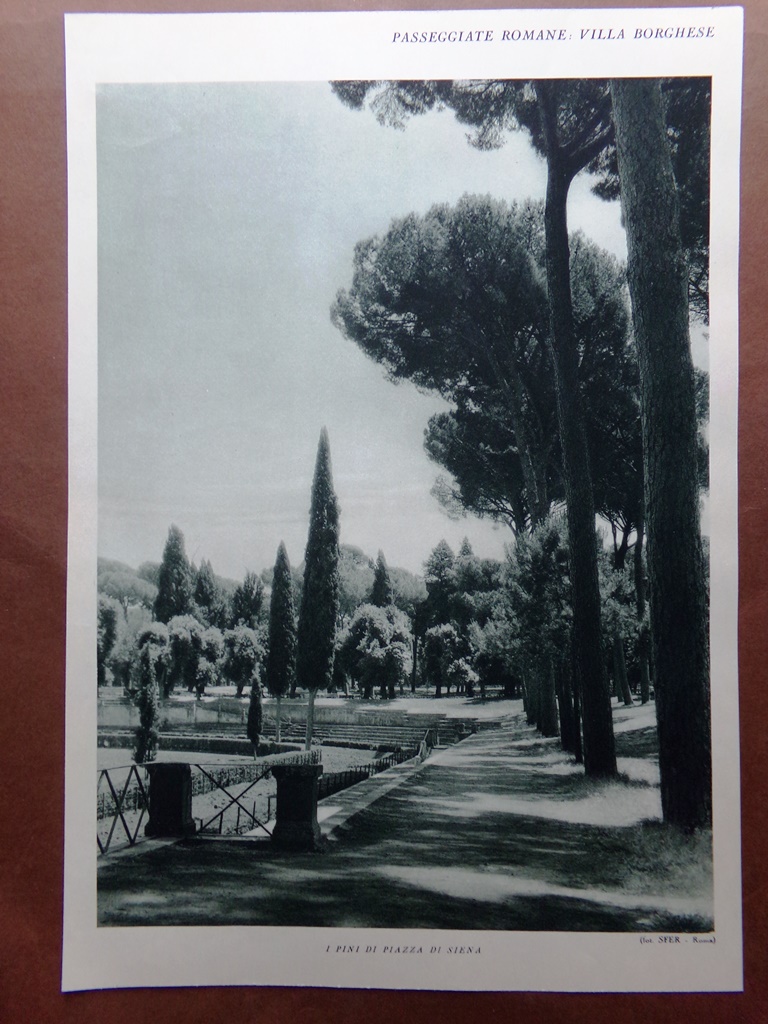 Stampa del 1927 Villa Borghese Fontana Cavalli Marini Fetonte Tritone …