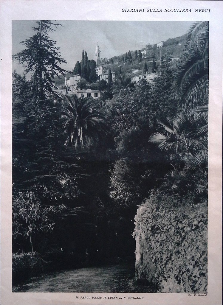 Stampa del 1928 Giardini Scogliera Nervi Parco Colle Sant'Ilario Viale …