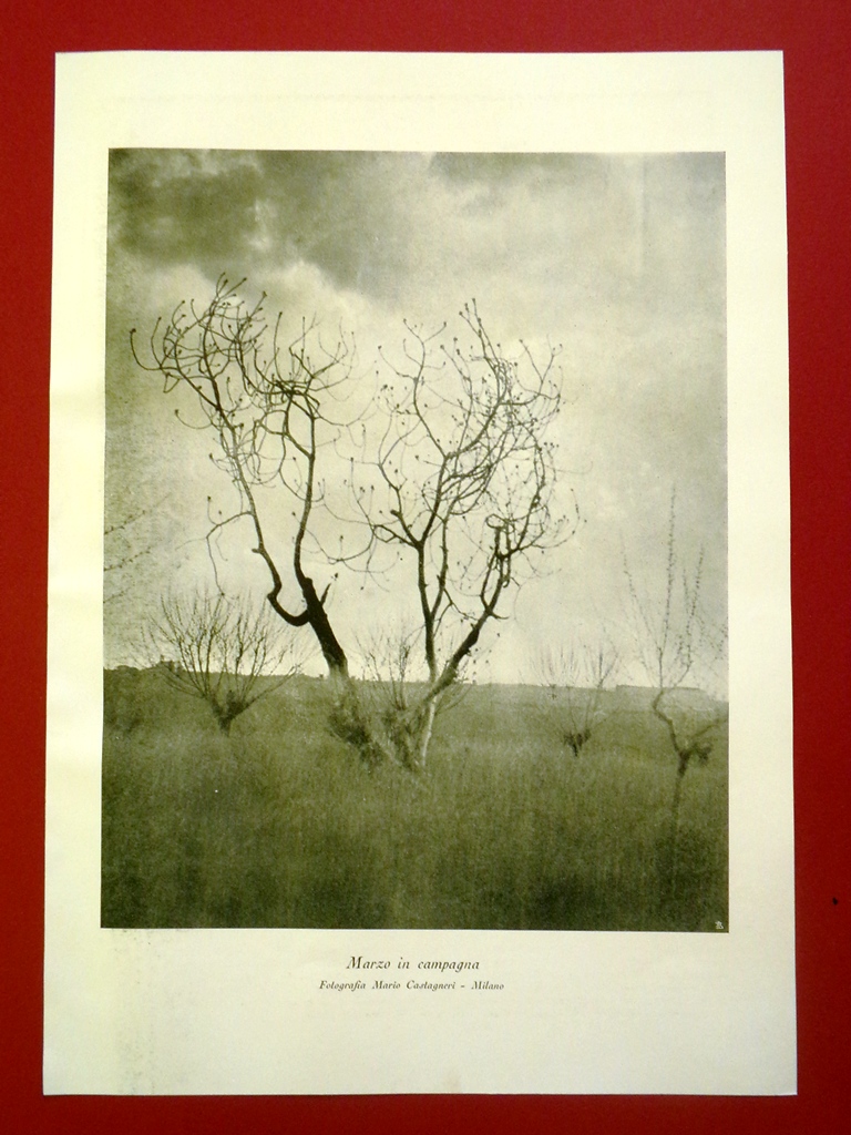 Stampa del 1929 Marzo in Campagna Fotografia Mario Castagneri