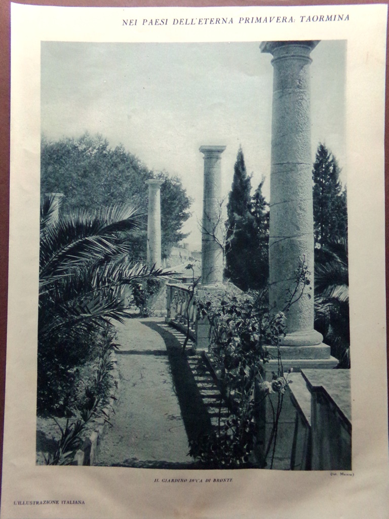 Stampa del 1929 Taormina Giardino Duca Bronte Fioritura Margherite