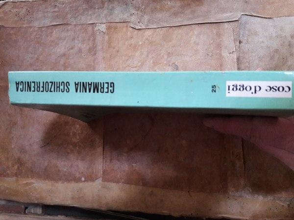 GERMANIA SCHIZOFRENICA