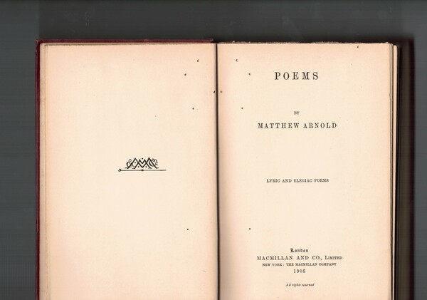Poems. Lyrici and elegiac poems.
