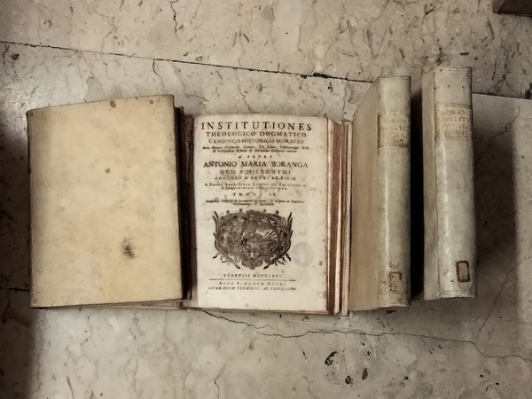 Institutiones theologico dogmatico canonico historico morales. Iuxta Sacram Scripturam, Canones, …