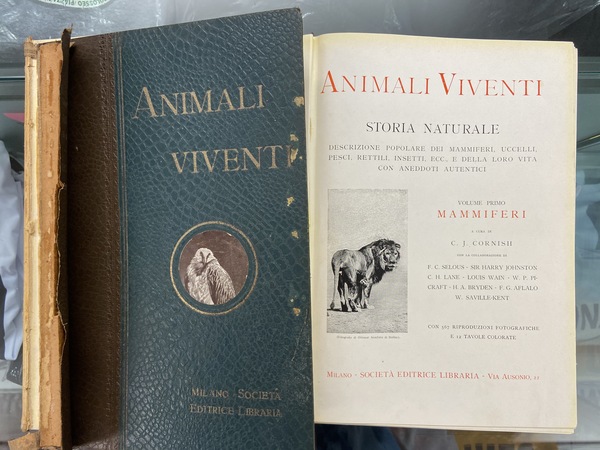 Animali viventi. Storia naturale, descrizione popolare dei mammiferi, uccelli, pesci, …