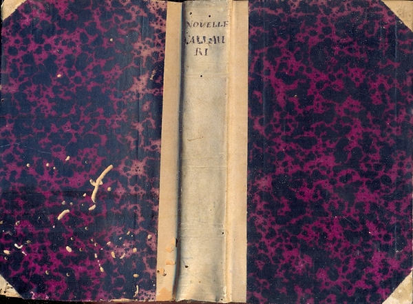 Novelle. Quarta edizione accresciuta e riveduta dall'Autore.
