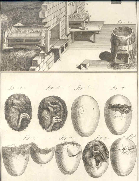 Economie rustique, art de faire eclore les poulets. Pl. 2.