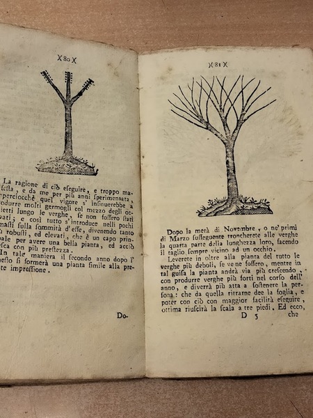 L'ortolano in villa e l'accurato giardiniere in città. Cioè regole …