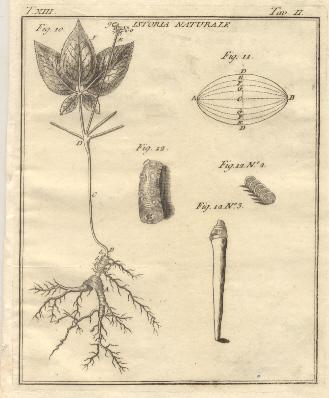 Istoria Naturale, tav. II. Tratta dal Dizionario Universale delle arti …