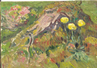 Rododendri e bottoni d'oro. Breuil.