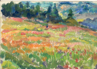 Prati in fiore . Lillaz.