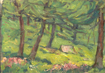 Rododendri nel bosco. Breuil.
