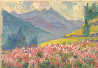 Fioritura di saponarie. Lillaz.