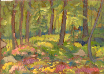 Bosco in controluce a Val Ferret.