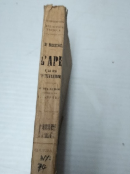 L'ape e la sua coltivazione nell'arnia orizzontale a soffitta e …