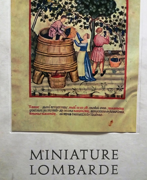 Miniature lombarde.