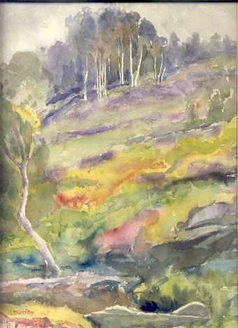 Paesaggio di Coazze.