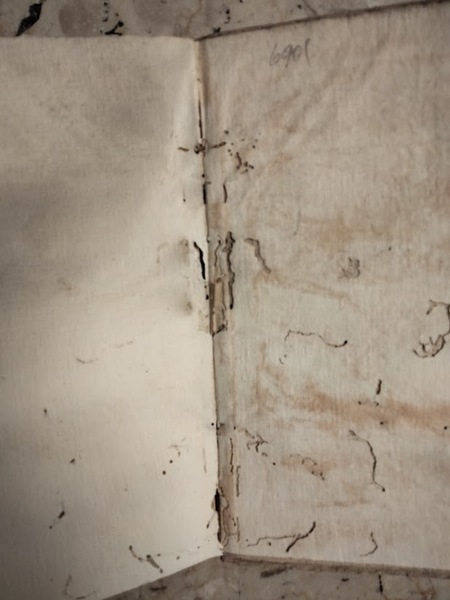 Rime di M. Gio: Della Casa sposte per M. Aurelio …