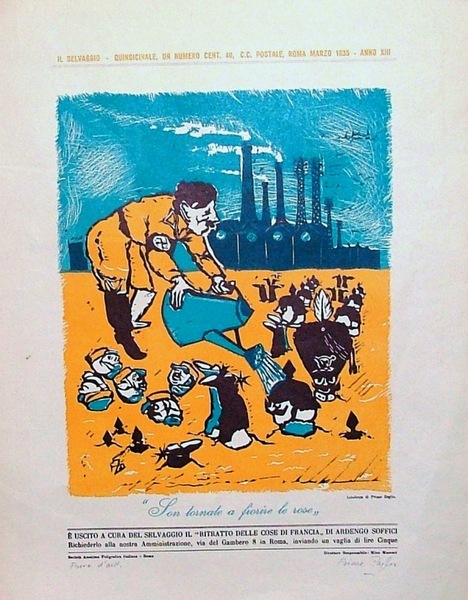 Son tornate a fiorire le rose.